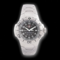 LUMINOX 310